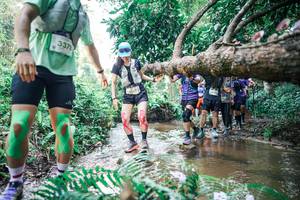 BIB: 
                            <button type="button" onclick="openModal(25472186)" class="btn btn-primary btn-sm float-right btn-popup" data-toggle="modal" data-target=".modal-high-quality">
                        <i class="fas fa-shopping-cart"></i> Add to Cart
                    </button>
                                            <button type="button" onclick="isThisMe(25472186, true)" class="btn btn-success btn-sm float-right btn-popup btn-isme hidden" data-toggle="tooltip" data-placement="bottom" title="นี่คือรูปของคุณใช่ไหม คลิกที่นี่เพื่อเอาเข้าอัลบั้ม">
                        <i class="fas fa-plus"></i> Add to album
                    </button>
                    <button type="button" onclick="isThisMe(25472186, false)" class="btn btn-warning btn-sm float-right btn-popup btn-isnotme hidden">
                        <i class="fas fa-ban"></i> Remove from album
                    </button>